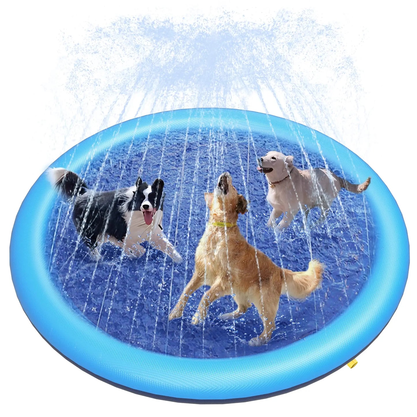 Dog  Sprinkler Pool