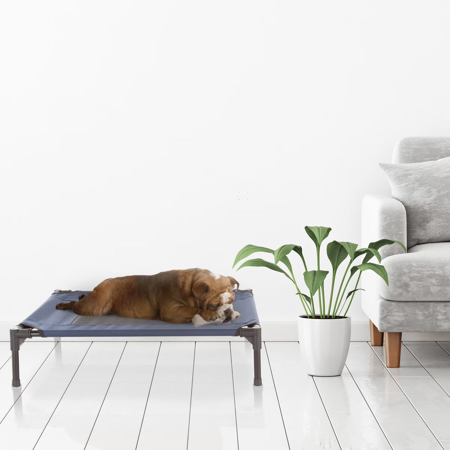 30X24-Inch Elevated Dog Bed - Indoor/Outdoor Cot for Pets (Blue)