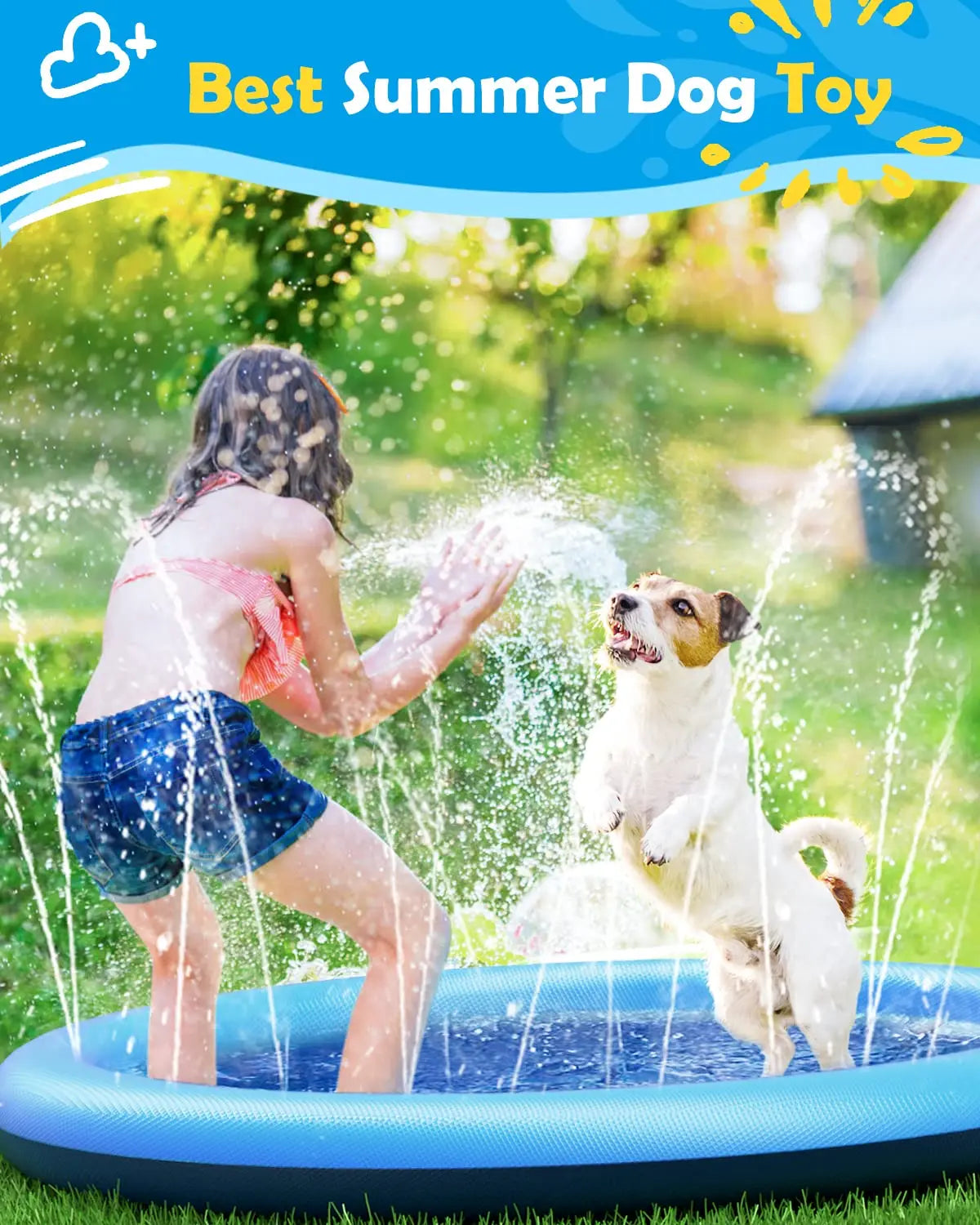 Dog  Sprinkler Pool