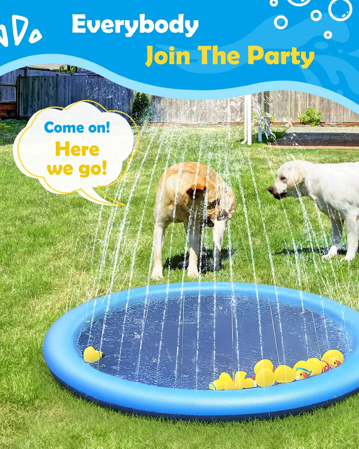 Dog  Sprinkler Pool